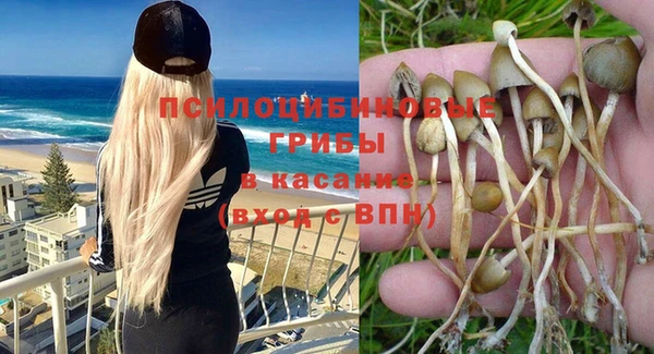 прущая мука Богородицк