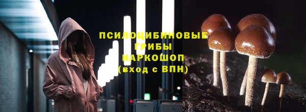 прущая мука Богородицк