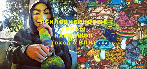 прущая мука Богородицк