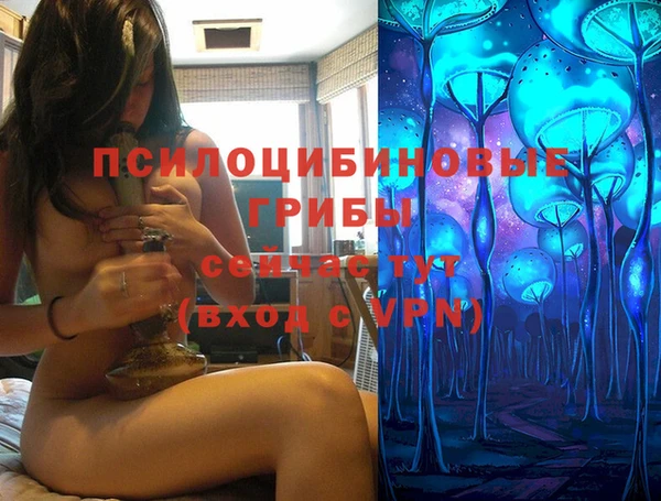 прущая мука Богородицк