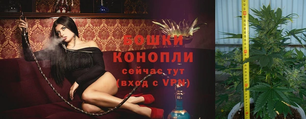 прущая мука Богданович