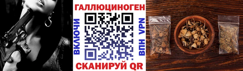 Псилоцибиновые грибы Psilocybine cubensis продажа наркотиков Минусинск